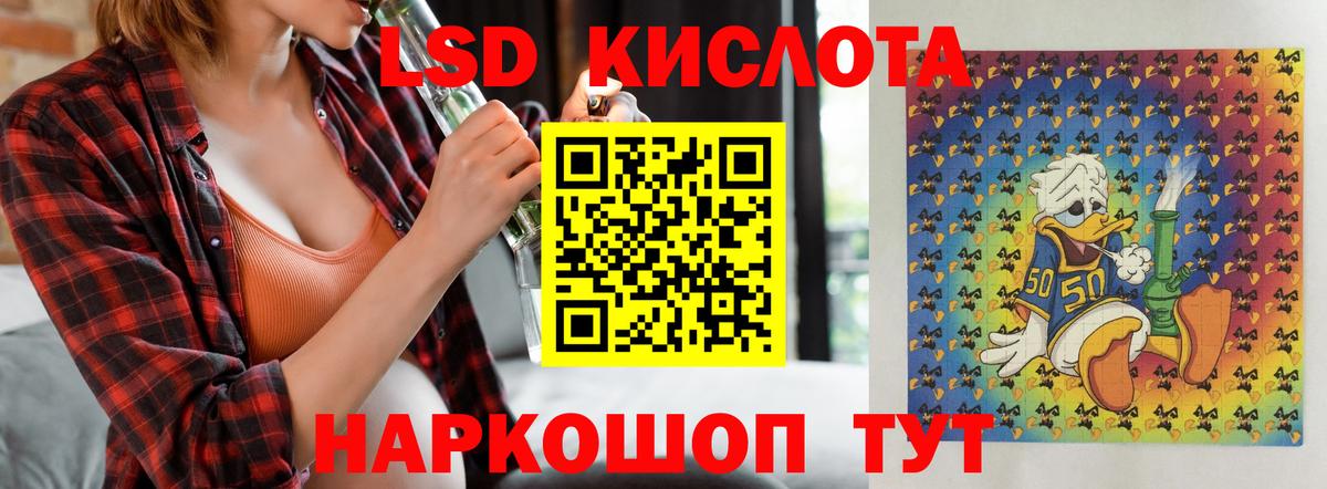 Новозыбков  LSD-25 экстази ecstasy  Вход с VPN 