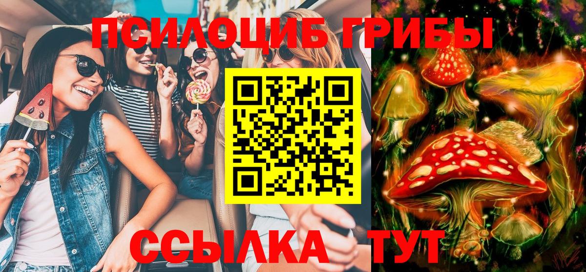 Галлюциногенные грибы Cubensis Новозыбков